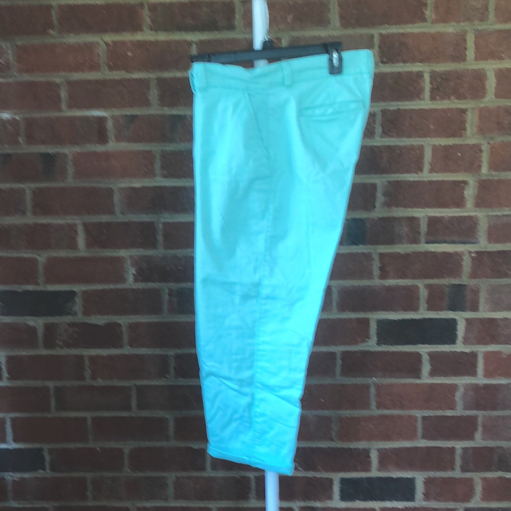 Crown & Ivy Ankle Chinos Mint Green (like close ups) S10